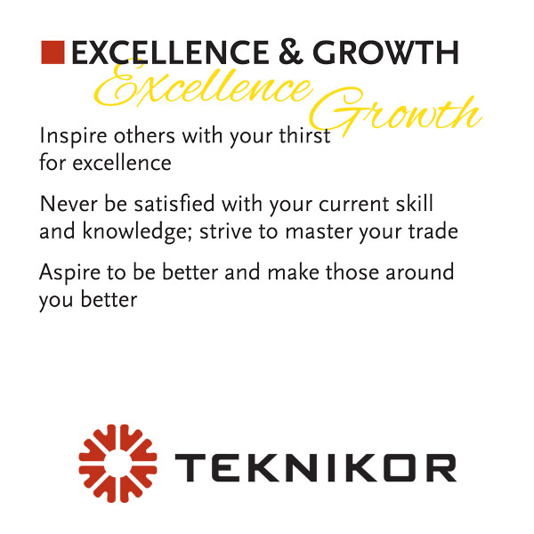 Teknikor industrial services - Values - Excellence & Growth